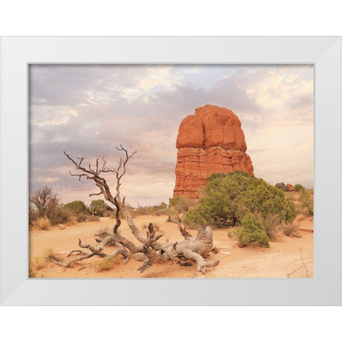 Dusty Desert I White Modern Wood Framed Art Print by Deiter, Lori