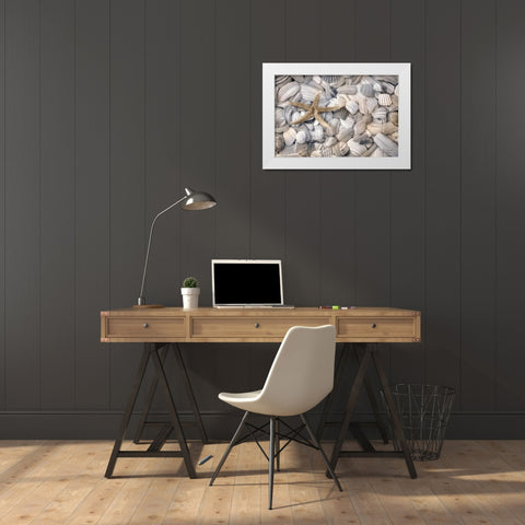 Starfish and Seashells White Modern Wood Framed Art Print by Deiter, Lori
