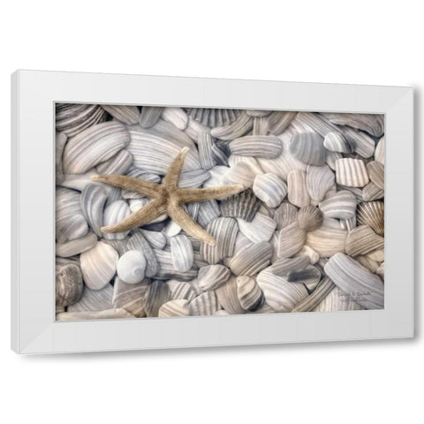 Starfish and Seashells White Modern Wood Framed Art Print by Deiter, Lori