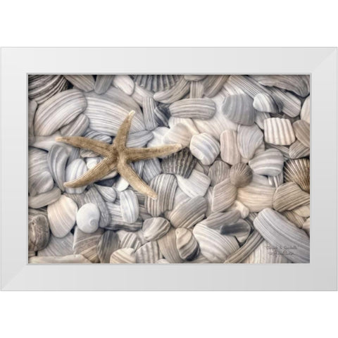 Starfish and Seashells White Modern Wood Framed Art Print by Deiter, Lori