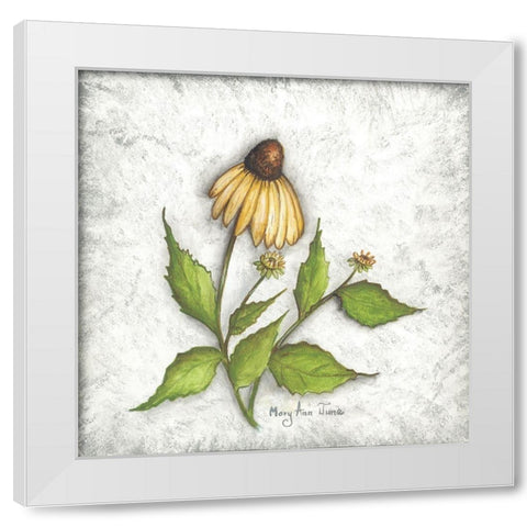 Bloomin Coneflowers White Modern Wood Framed Art Print by June, Mary Ann
