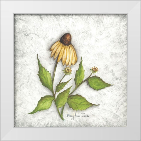 Bloomin Coneflowers White Modern Wood Framed Art Print by June, Mary Ann