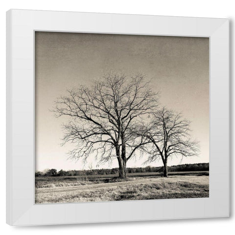 Tree No. 57 White Modern Wood Framed Art Print by Rigsby, Jennifer