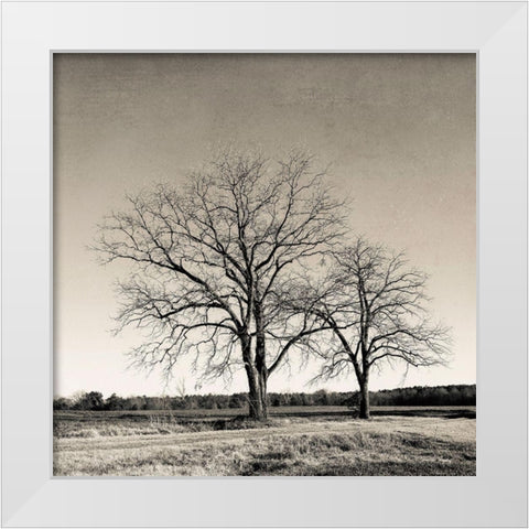 Tree No. 57 White Modern Wood Framed Art Print by Rigsby, Jennifer