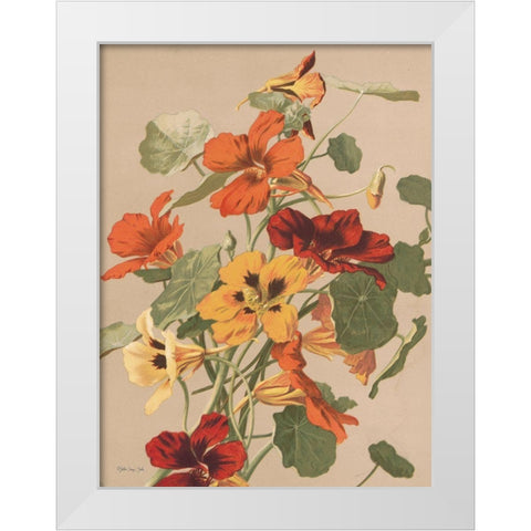 Antique Botanical Collection 2 White Modern Wood Framed Art Print by Stellar Design Studio