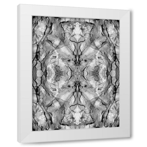 Black and white of quiver tree bark abstract White Modern Wood Framed Art Print by Jaynes Gallery