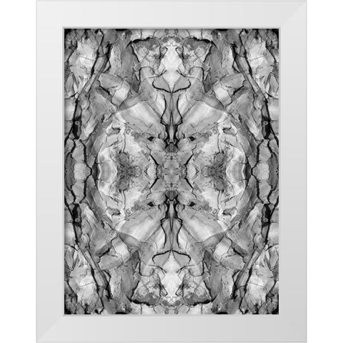 Black and white of quiver tree bark abstract White Modern Wood Framed Art Print by Jaynes Gallery