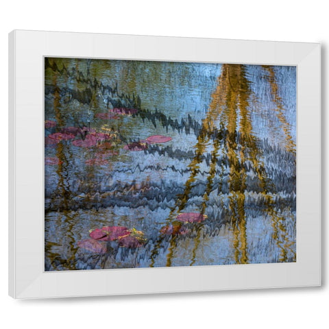 Lily pond reflection abstract White Modern Wood Framed Art Print by Jaynes Gallery