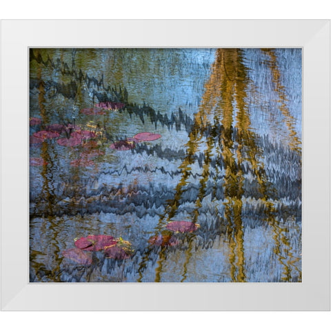 Lily pond reflection abstract White Modern Wood Framed Art Print by Jaynes Gallery