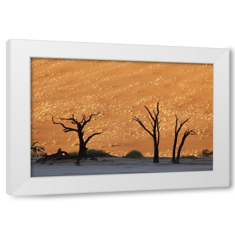 Dead tree, Dead Vlei, Sossusvlei, Namibia White Modern Wood Framed Art Print by Kaveney, Wendy