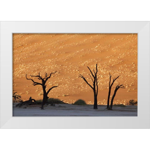 Dead tree, Dead Vlei, Sossusvlei, Namibia White Modern Wood Framed Art Print by Kaveney, Wendy