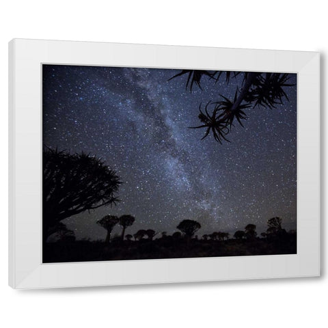 Namibia Milky Way and quiver trees at night White Modern Wood Framed Art Print by Kaveney, Wendy