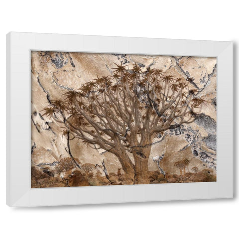 Africa-Namibia-Quiver tree and bark photo montage White Modern Wood Framed Art Print by Jaynes Gallery
