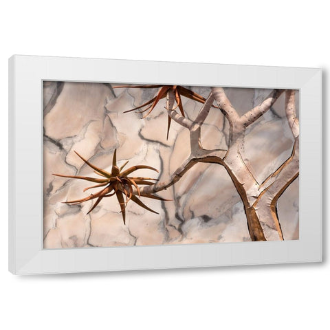 Africa-Namibia-Quiver tree and bark photo montage White Modern Wood Framed Art Print by Jaynes Gallery