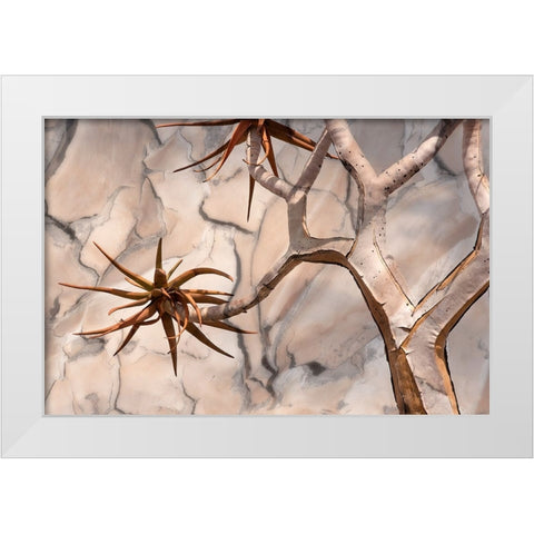 Africa-Namibia-Quiver tree and bark photo montage White Modern Wood Framed Art Print by Jaynes Gallery