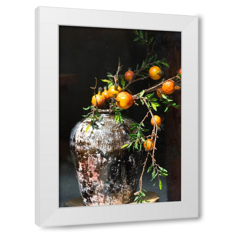 Pomegranate grown from a wine jar-Tangqi Ancient Town-Hangzhou-Zhejiang Province-China White Modern Wood Framed Art Print by Su, Keren