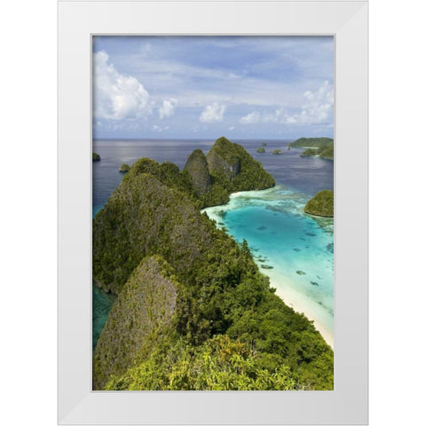Island vegetation, New Guinea Island, Indonesia White Modern Wood Framed Art Print by Shimlock, Jones