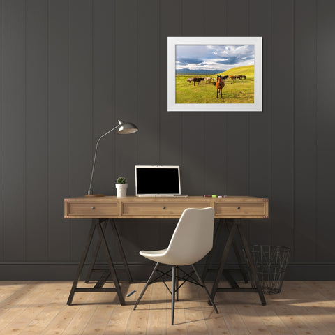 Horses for the production of milk-kumys and meat A typical farm on the Suusamyr plain-a high valley White Modern Wood Framed Art Print by Zwick, Martin