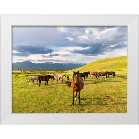 Horses for the production of milk-kumys and meat A typical farm on the Suusamyr plain-a high valley White Modern Wood Framed Art Print by Zwick, Martin