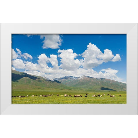 Summer pasture with traditional Yurts The Suusamyr plain White Modern Wood Framed Art Print by Zwick, Martin
