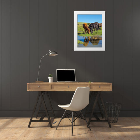 Horses on their mountain pasture at lake Song Kol  White Modern Wood Framed Art Print by Zwick, Martin