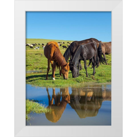 Horses on their mountain pasture at lake Song Kol  White Modern Wood Framed Art Print by Zwick, Martin