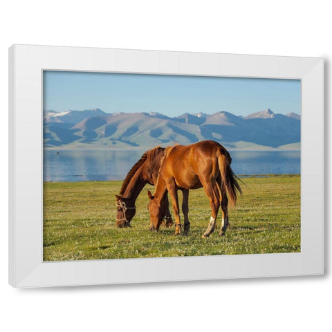 Horses on their mountain pasture at lake Song Kol  White Modern Wood Framed Art Print by Zwick, Martin
