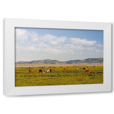 Horses on their mountain pasture at lake Song Kol  White Modern Wood Framed Art Print by Zwick, Martin