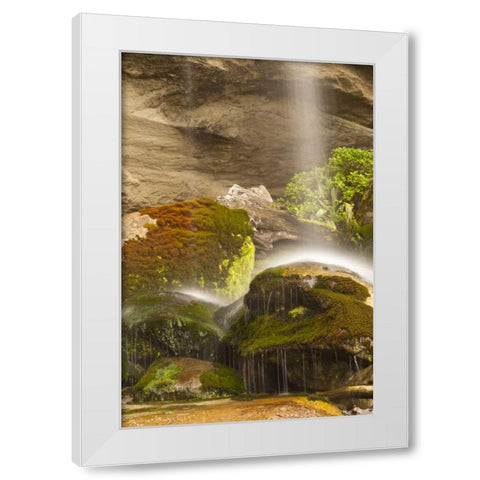 New Zealand, Paparoa NP Waterfall striking rocks White Modern Wood Framed Art Print by Illg, Cathy and Gordon