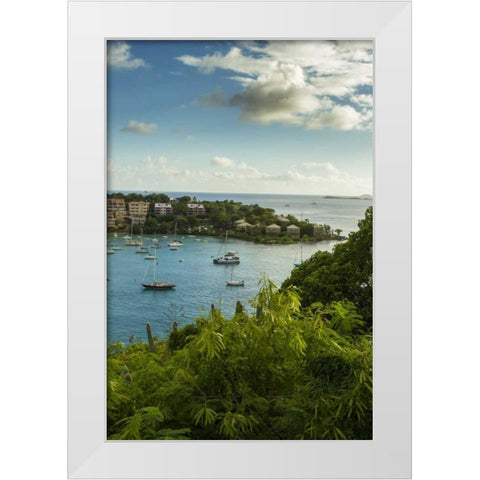Caribbean, USA Virgin Islands, St John Cruz Bay White Modern Wood Framed Art Print by Illg, Cathy and Gordon