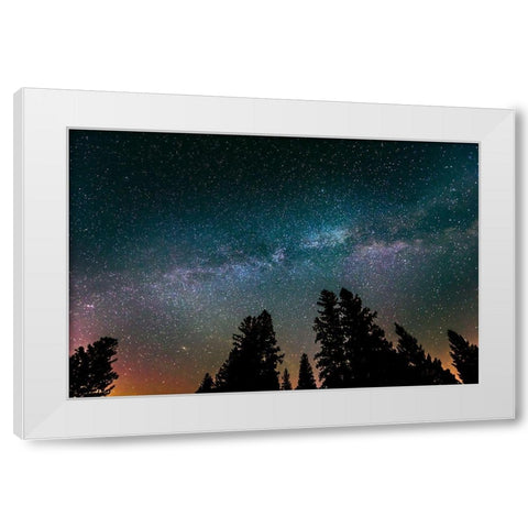 Canada-Manitoba-Milky Way Galaxy and starry night with white spruce in foreground White Modern Wood Framed Art Print by Jaynes Gallery