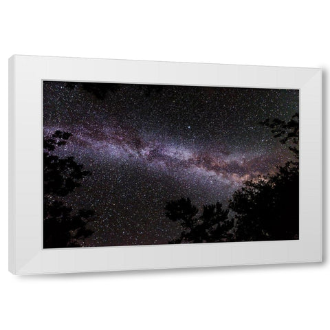 Canada-Ontario-Sioux Narrows Provincial Park-Night sky with Milky Way White Modern Wood Framed Art Print by Jaynes Gallery
