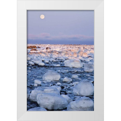Canada, Hudson Bay Sunset and full moon rising White Modern Wood Framed Art Print by Illg, Cathy and Gordon