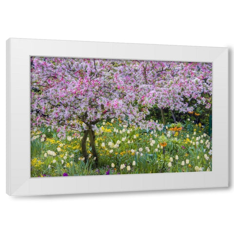 France, Giverny spring in Claude Monets garden White Modern Wood Framed Art Print by Needle, Charles