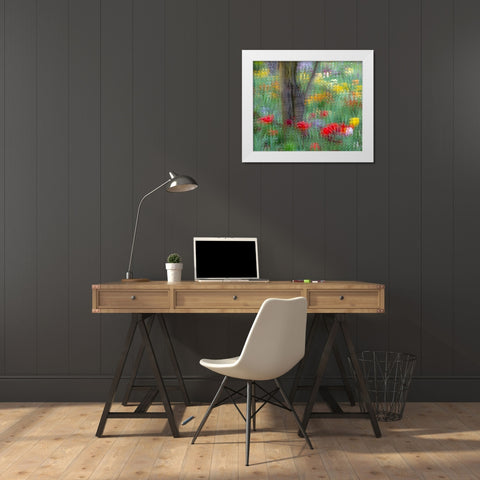 France-Giverny Impression of flowers in Monets Garden White Modern Wood Framed Art Print by Jaynes Gallery