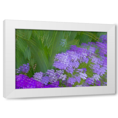 France-Giverny Impression of flowers in Monets Garden White Modern Wood Framed Art Print by Jaynes Gallery