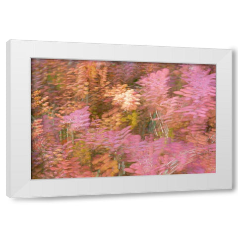 France-Giverny Impression of flowers in Monets Garden White Modern Wood Framed Art Print by Jaynes Gallery