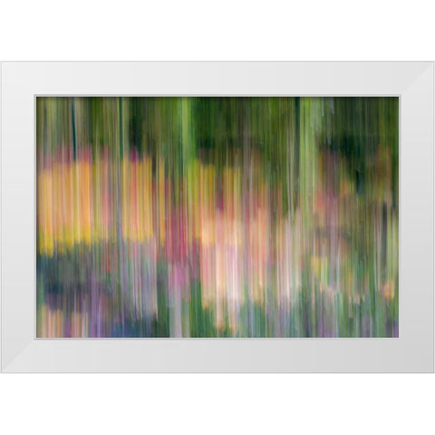 France-Giverny Abstract of flowers in Monets Garden White Modern Wood Framed Art Print by Jaynes Gallery