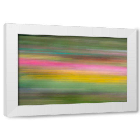 France-Giverny Abstract of flowers in Monets Garden White Modern Wood Framed Art Print by Jaynes Gallery