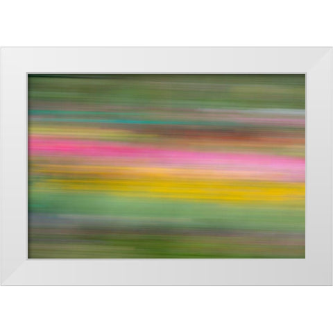 France-Giverny Abstract of flowers in Monets Garden White Modern Wood Framed Art Print by Jaynes Gallery