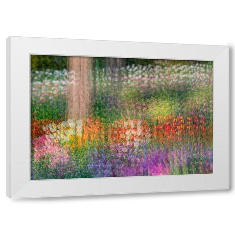 France-Giverny Impression of flowers in Monets Garden White Modern Wood Framed Art Print by Jaynes Gallery