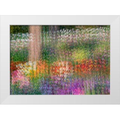 France-Giverny Impression of flowers in Monets Garden White Modern Wood Framed Art Print by Jaynes Gallery