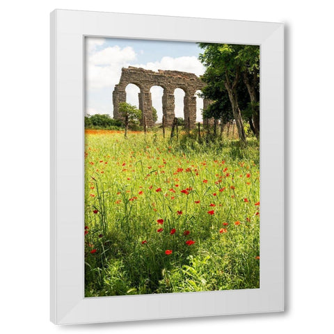 Italy-Rome Parc of the Aqueducts (Parco degli Acquedotti)-Acqua Claudio White Modern Wood Framed Art Print by Jones, Alison