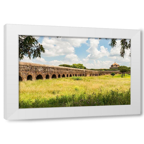 Italy-Rome Parc of the Aqueducts (Parco degli Acquedotti),Acquedotto Felice White Modern Wood Framed Art Print by Jones, Alison