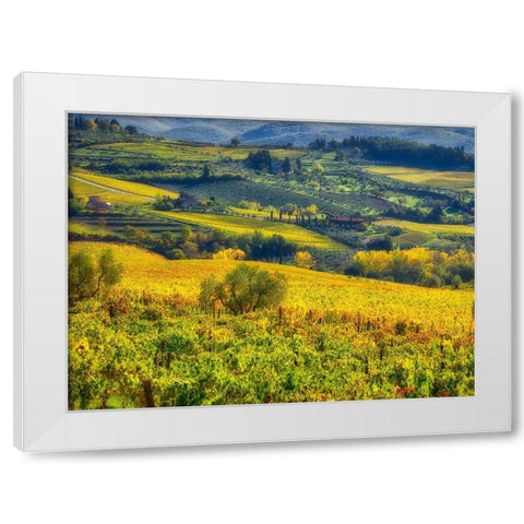 Italy-Chianti Vineyard in autumn in the Chianti region of Tuscany White Modern Wood Framed Art Print by Eggers, Julie