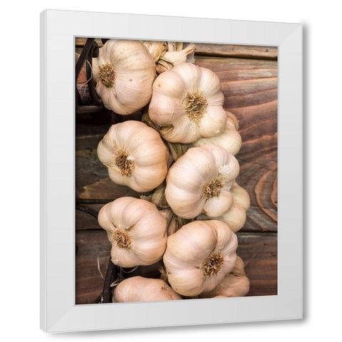Italy-Chianti Garlic hanging in a meat shop in the town of Radda in Chianti White Modern Wood Framed Art Print by Eggers, Julie