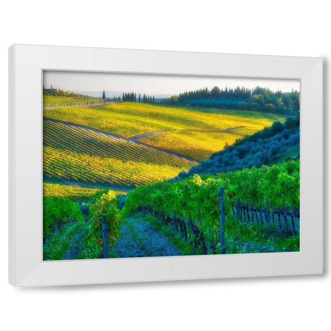 Italy-Chianti Vineyard in autumn in the Chianti region of Tuscany White Modern Wood Framed Art Print by Eggers, Julie