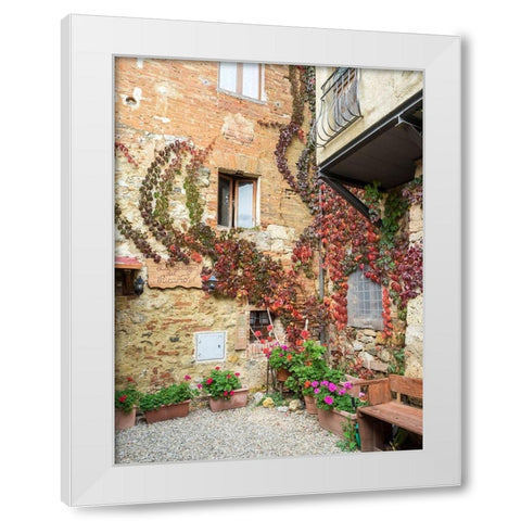 Italy-Chianti Back street alleyway with fall colored climbing vine White Modern Wood Framed Art Print by Eggers, Julie