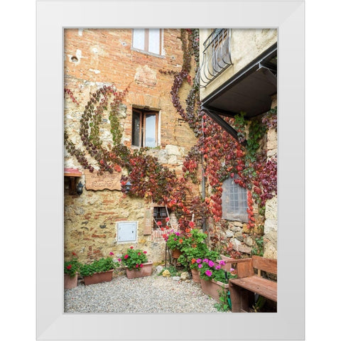 Italy-Chianti Back street alleyway with fall colored climbing vine White Modern Wood Framed Art Print by Eggers, Julie