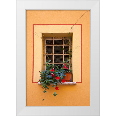 Italy-Tuscany-Montepulciano Potted plant on a windowsill in the hill town of Montepulciano White Modern Wood Framed Art Print by Eggers, Julie